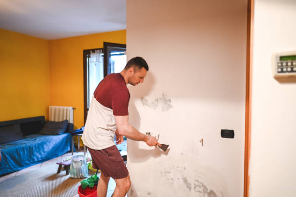Best DIY Mold Remediation Support Services in Medina, WA